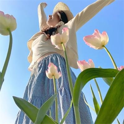 阿里安